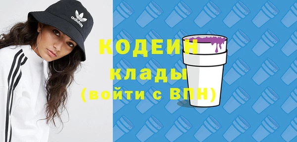 дживик Пересвет