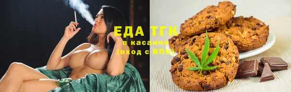 дживик Пересвет