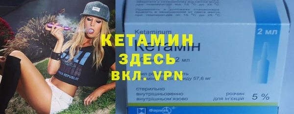 дживик Пересвет