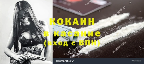 дживик Пересвет