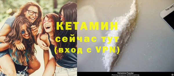 дживик Пересвет