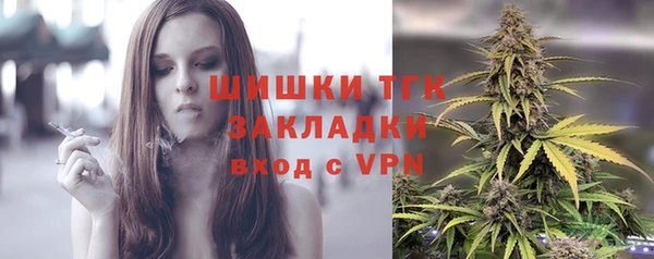 дживик Пересвет