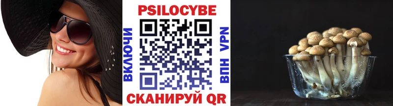 Галлюциногенные грибы прущие грибы  Электрогорск 