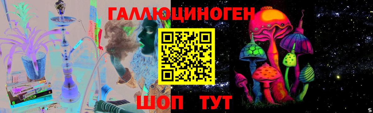 Псилоцибиновые грибы MAGIC MUSHROOMS  Вход с VPN  Электрогорск 